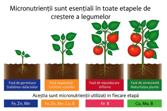 Fertilizator de Grădină